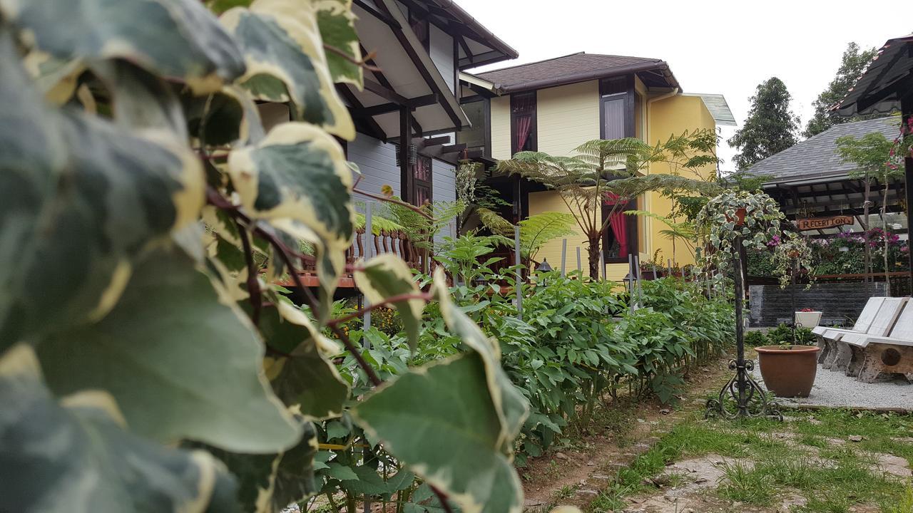 Casa Loma Cameron Highlands Villa Esterno foto